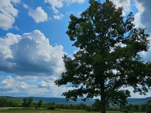 9231 Munson Hill Rd, Bradford, NY 14815