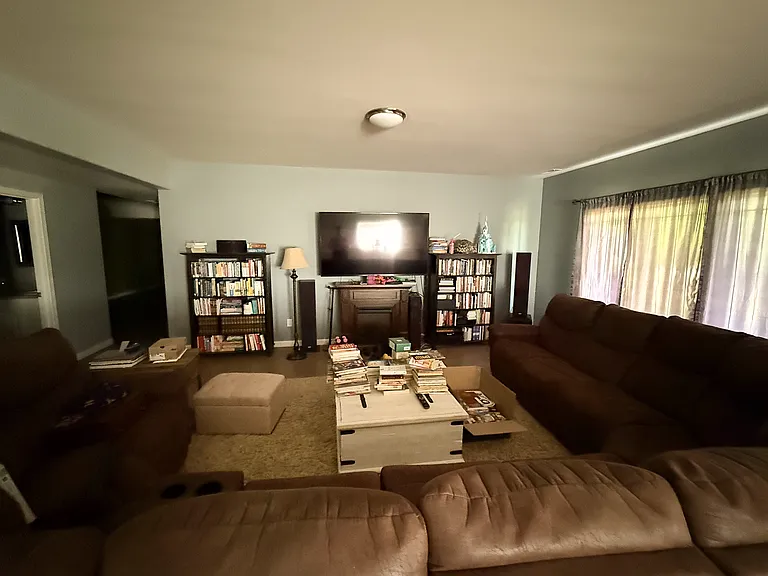 the tv, couch, and speakers will stay, the books will be cleared out