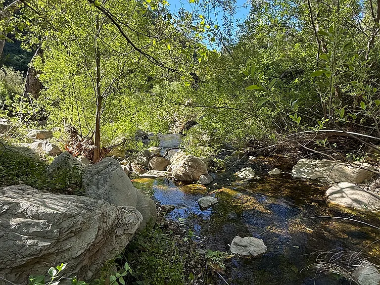 Mulholland Hwy — Photo 3