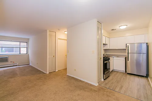 Lincoln Park Living! Photo 1