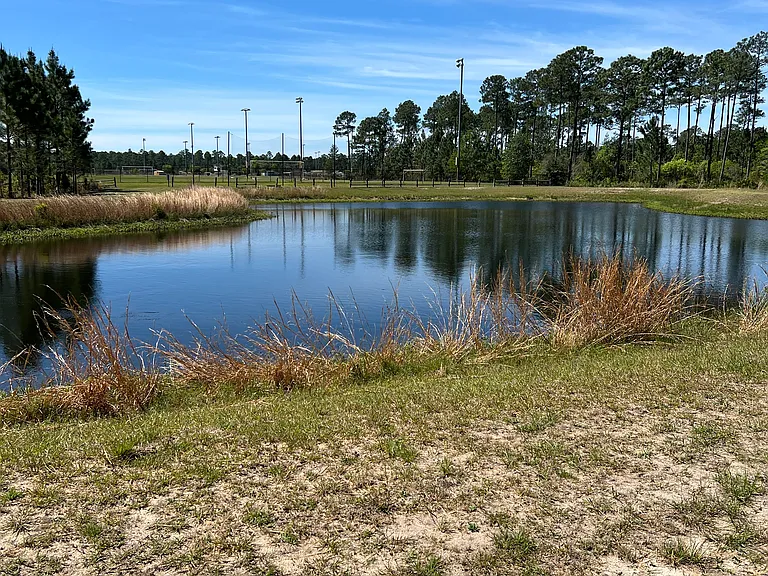 One of the 2 Ponds behind the forest at Manchester subdivision