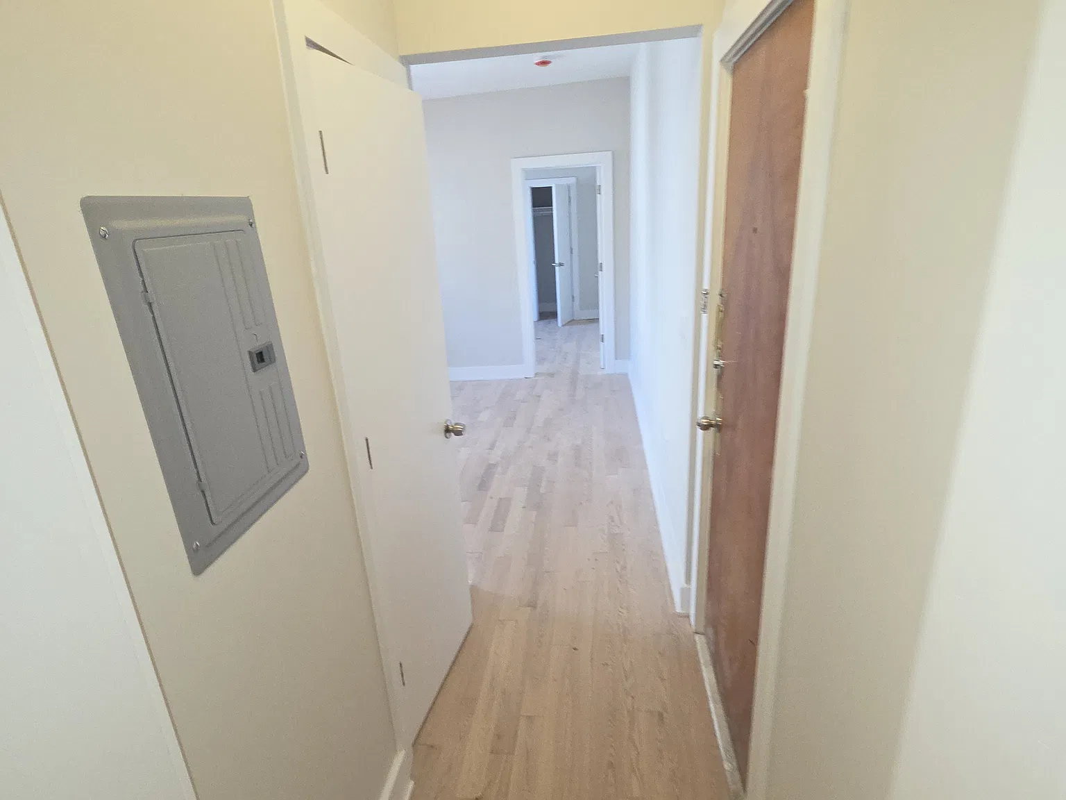 1 bed, 544 sqft, $1,895 — Photo 2