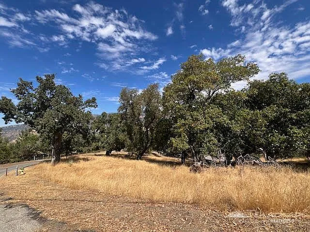 0 Woodbine Ct Lot 45 photo 1