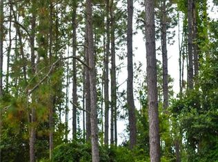Coffee Creek Ln, Groveland, FL 34736