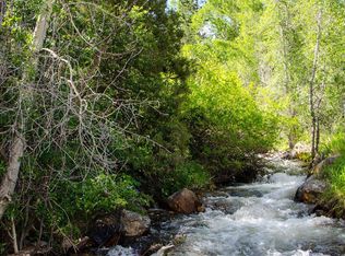 58 Denises Way, Dumont, CO 80436