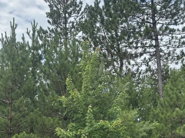 Near Cth Y S Rns Lot 13, Tomahawk, WI 54487