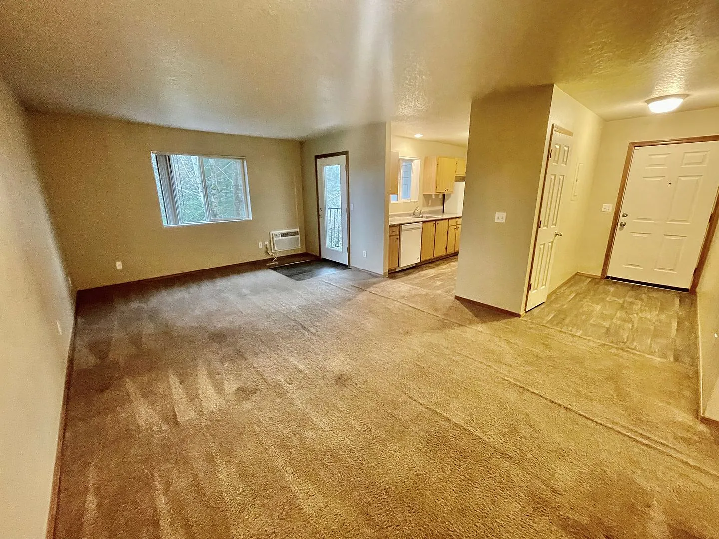 JC0497 — Photo 1