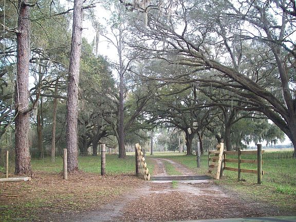 gate