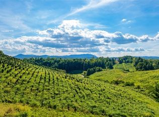 1 Topia Rd, Piney Creek, NC 28663