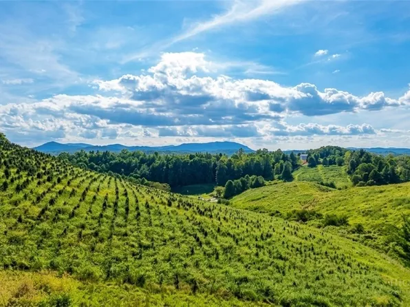 1 Topia Road, Piney Creek, NC 28663