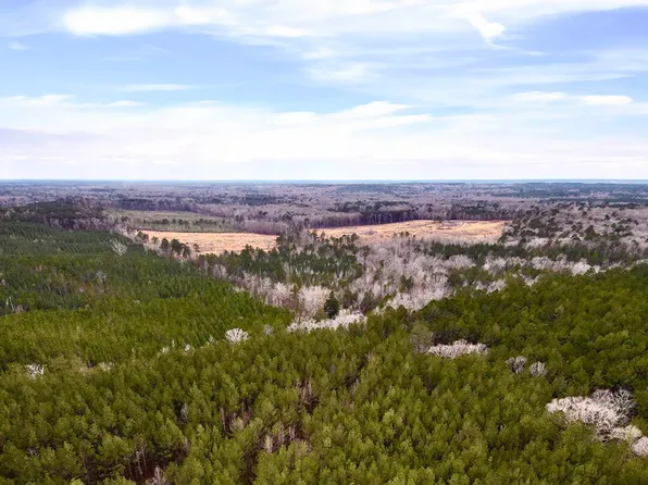 Pea Ridge Rd, Braxton, MS 39044