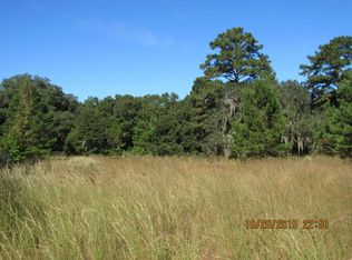 Tbd Bees Crk, Ridgeland, SC 29936