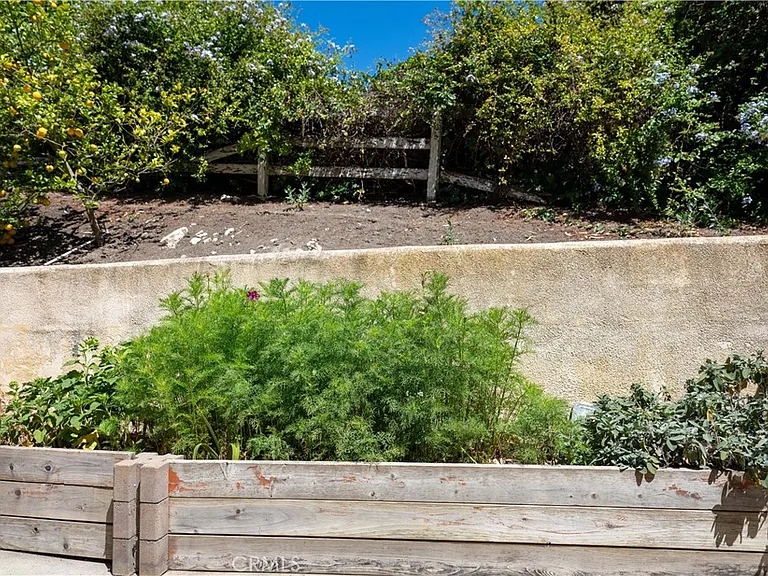 12 Martingale Dr — Photo 47