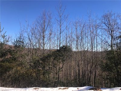 Fletchers Cove Rd, Purlear, NC, 28665