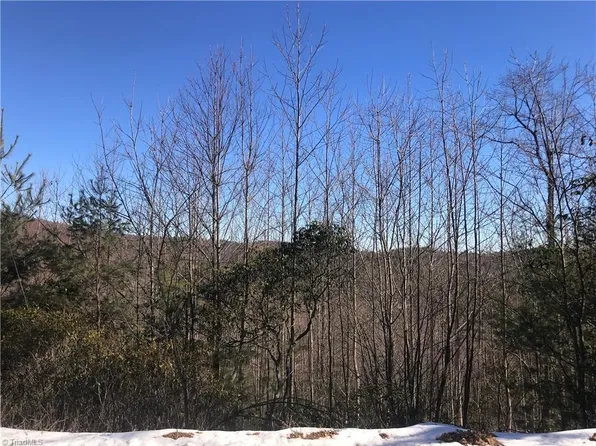 Fletchers Cove Rd, Purlear, NC 28665