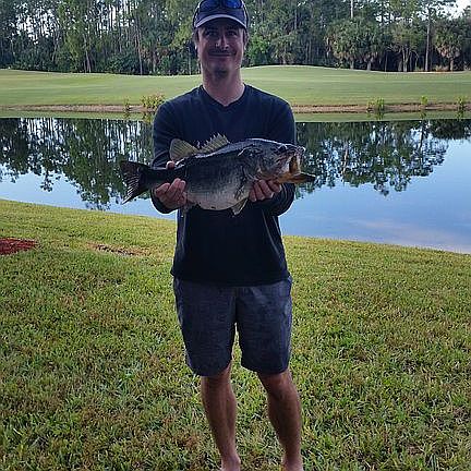 Black Base caught in front