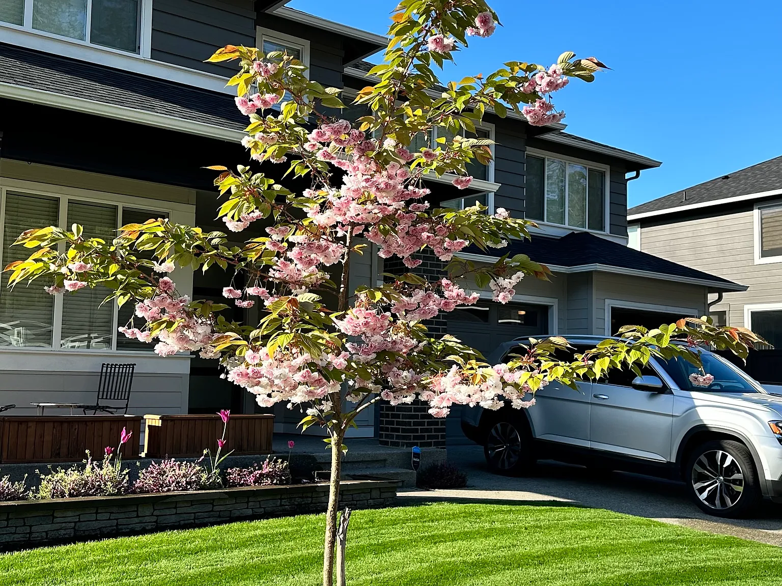 4 bed, 4000 sqft, $3,998 — Photo 4