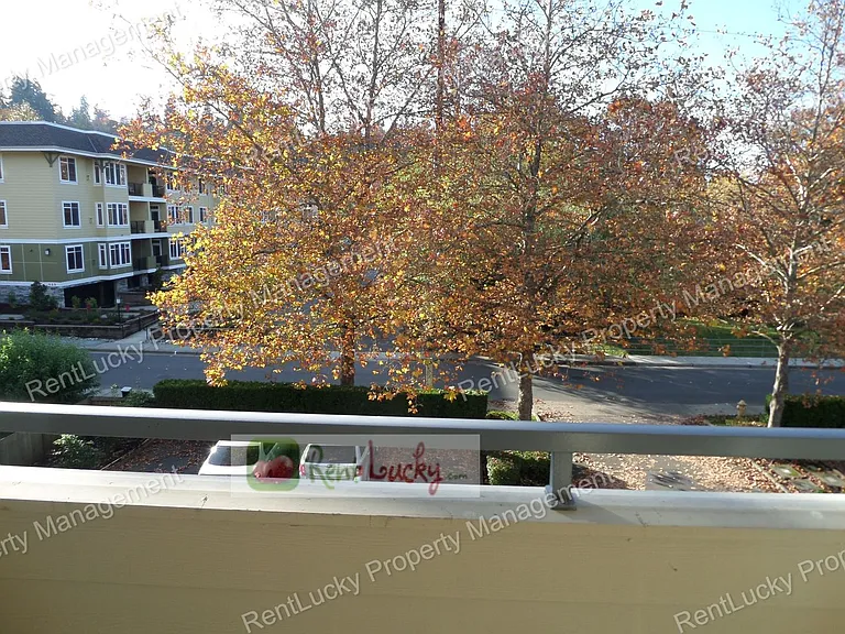 424 102nd Ave SE #202 — Photo 8