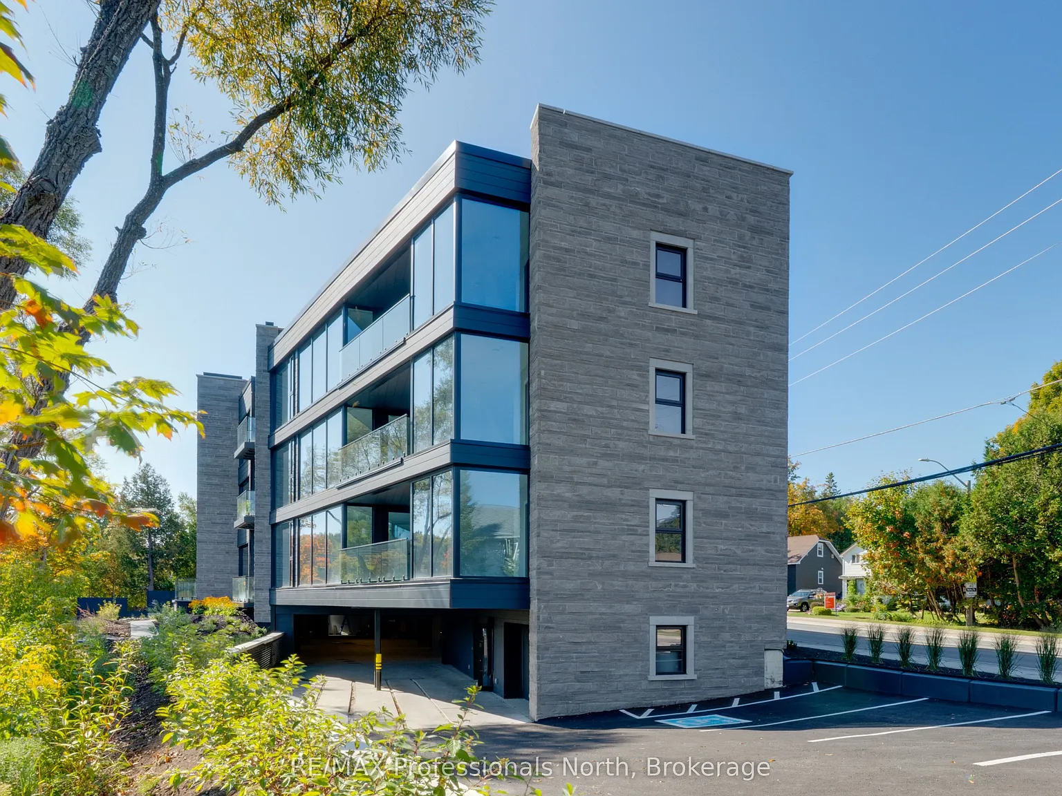 1 bed, $3,800 — Photo 2