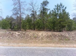 Horne Rd, Roberta, GA 31078