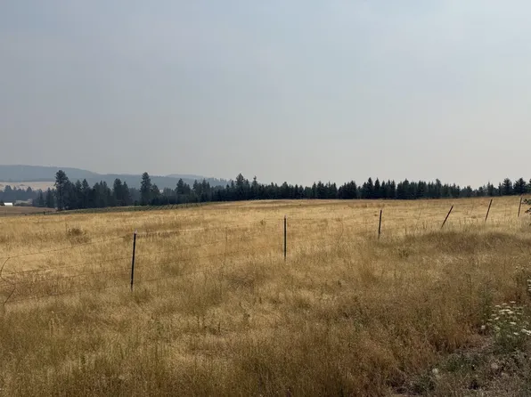 111XX S Spruce Tree Ln, Mica, WA 99023