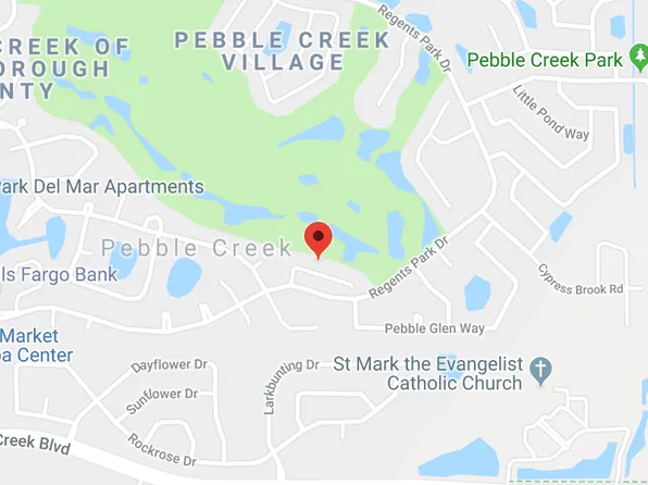 9320 Fairway Lakes Ct, Tampa, FL 33647