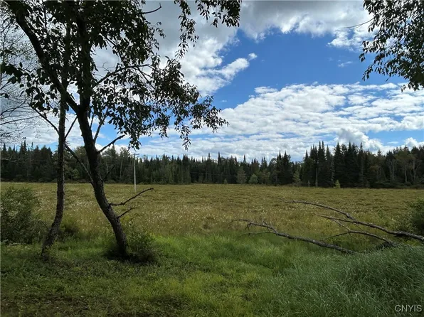 1406 Gray Wilmurt Rd #37, Cold Brook, NY 13324