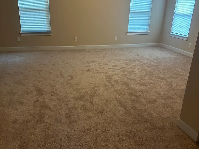 595 Highbranch Cir — Photo 28