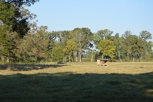 1st image of 2238 County Road 4316 N