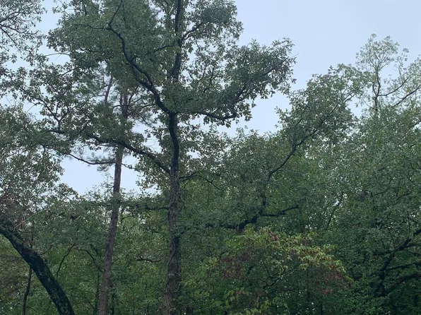 209 Starleaf Ln, Hawkins, TX 75765