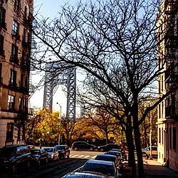 Rented by Bold New York