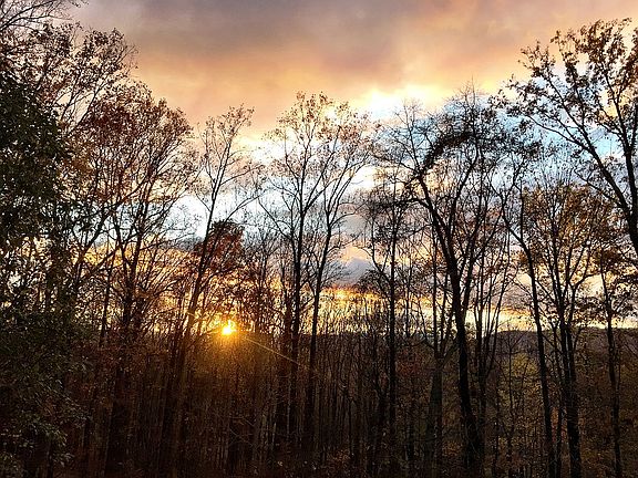 View from deck looking west