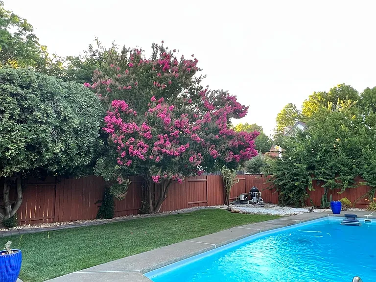 2105 Amador Ave — Photo 9