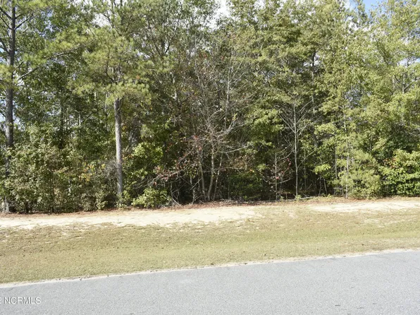 147 Deer Pointe Drive, Snow Hill, NC 28580