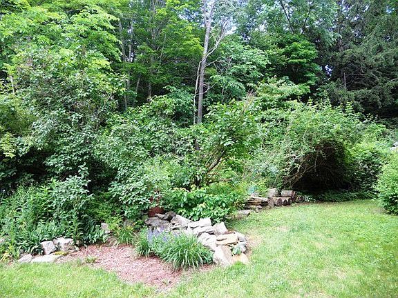 Wooded side yard