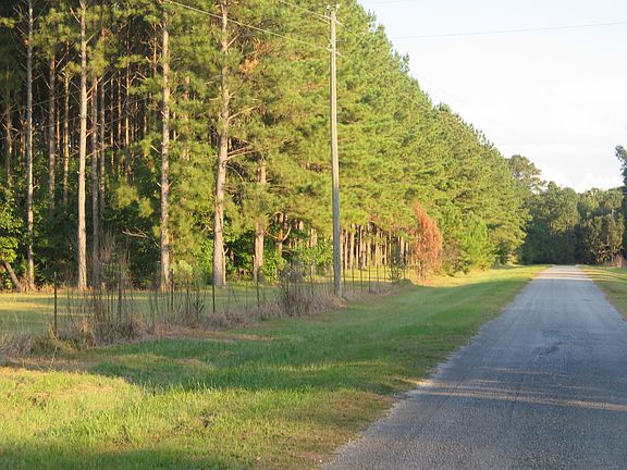 5th image of 272 County Road 208 Lot Wp001