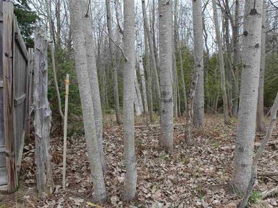 Spring St, Charlevoix, MI, 49720