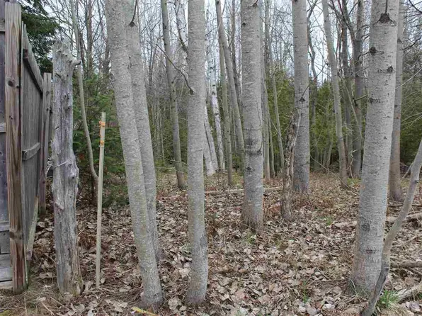 Spring St, Charlevoix, MI 49720