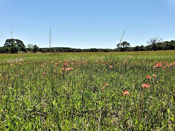 4th image of 7187 County Road 4712
