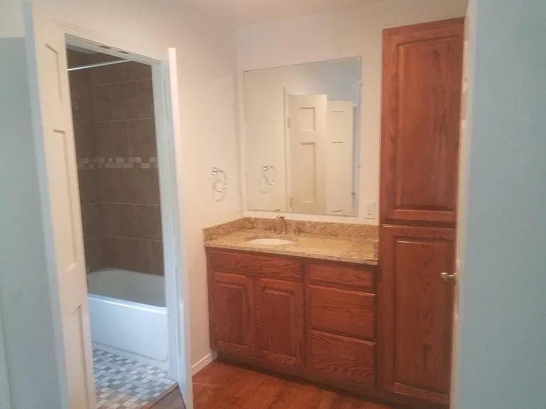 Vanity and linen closet