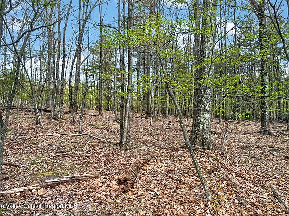 5th image of 0 Camp Schoharie Road