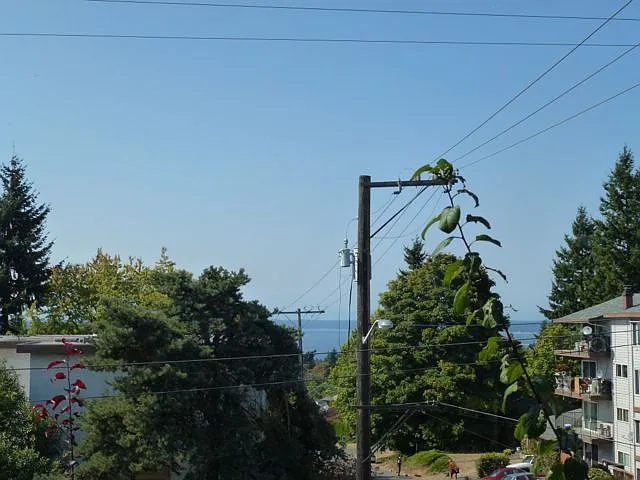 Live Close To Carkeek Park! — Photo 30