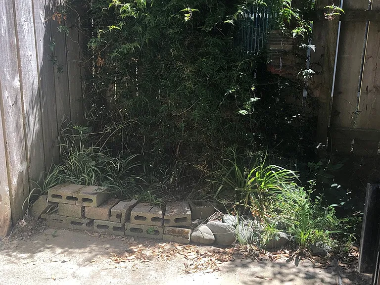 1305 Haven Ln — Photo 6