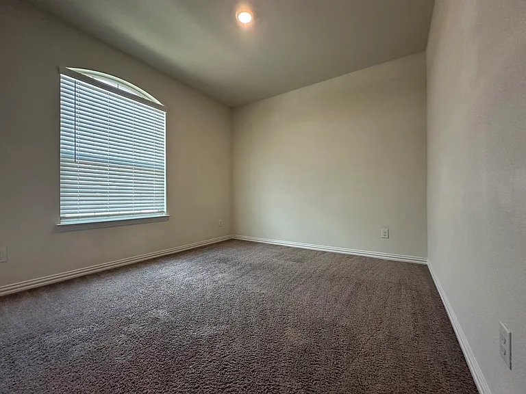 404 Pepperbark Ave — Photo 8