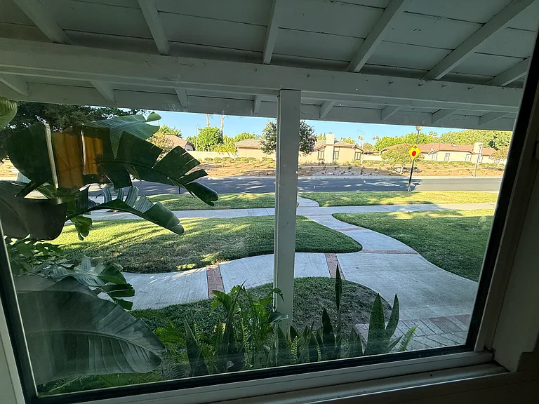 View from the kitchen window
