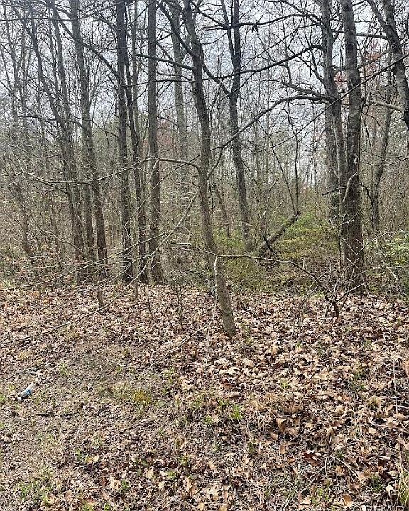 2nd image of 0 Ridge Rd Lot 10