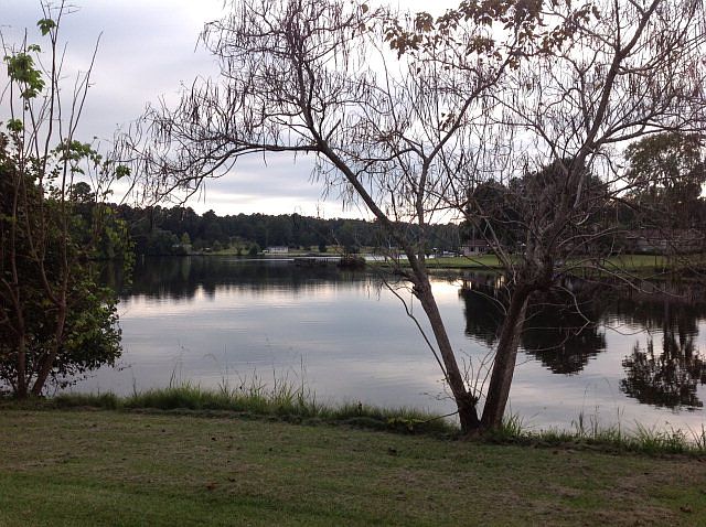 1st image of 1206 S Lake Dr