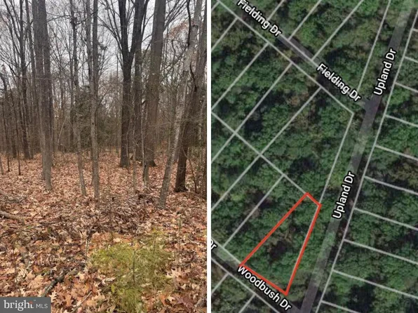 Woodbush Dr, Bushwood, MD 20618