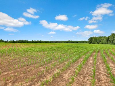 374XX-S40 Hemingway Ave, North Branch, MN, 55056