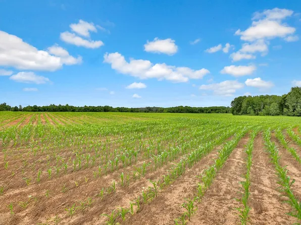 374XX-S40 Hemingway Ave, North Branch, MN 55056